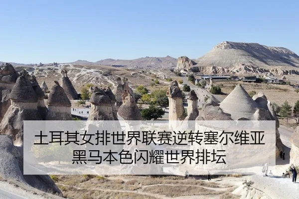 tu-er-qi-nv-pai-shi-jie-lian-sai-ni-zhuan-sai-er-wei-ya-hei-ma-ben-se-shan-yao-shi-jie-pai-tan-1-771.jpg